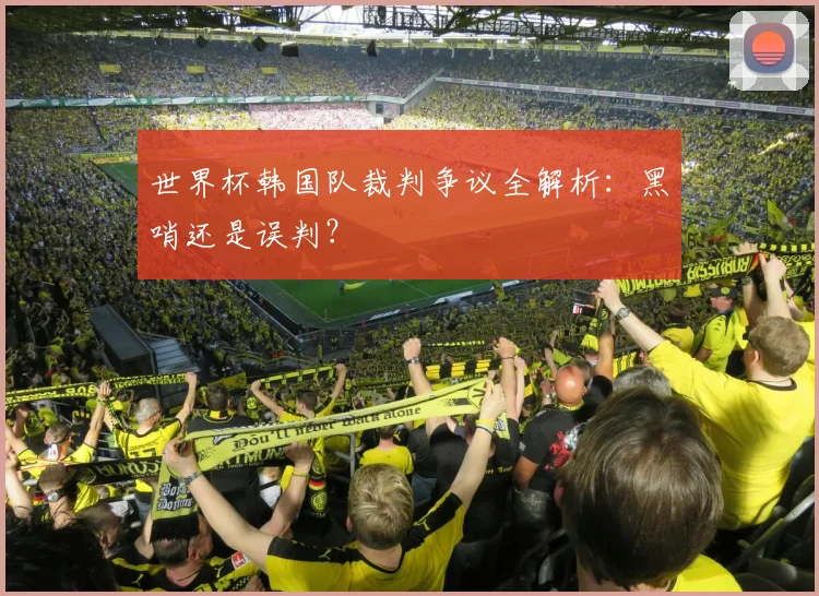 世界杯韩国队裁判争议全解析：黑哨还是误判？