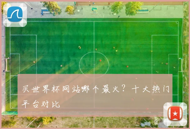 买世界杯网站哪个最火？十大热门平台对比