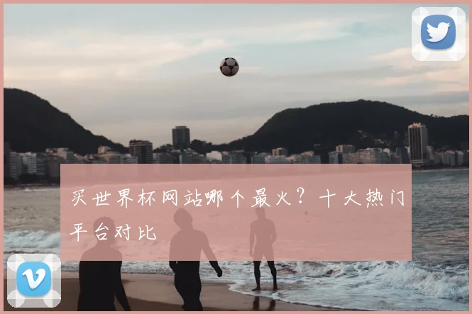 买世界杯网站哪个最火？十大热门平台对比